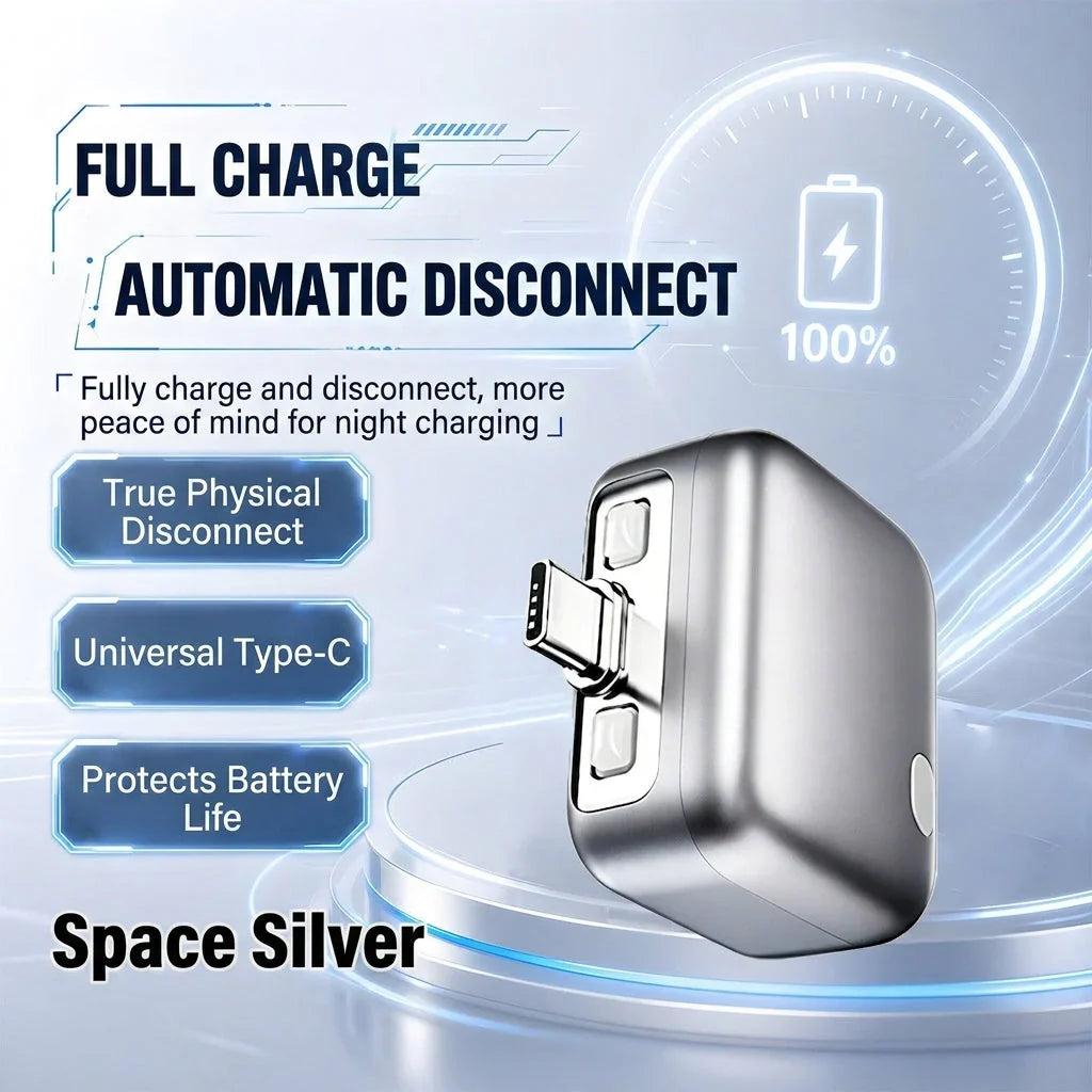 Automatic Disconnecting Charger
