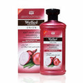 Anti Hair loss Shampoo